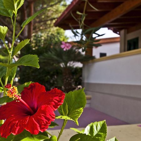 Green Park Village Vieste Bagian luar foto